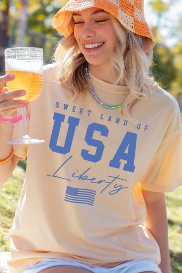 MINERAL WASHED USA VINTAGE SHORT SLEEVE TEE 