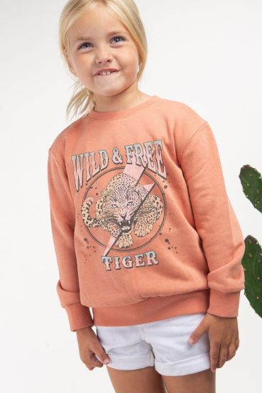 KIDS WILD AND  FREE TIGER GRAPHIC SWEATSHIRTS