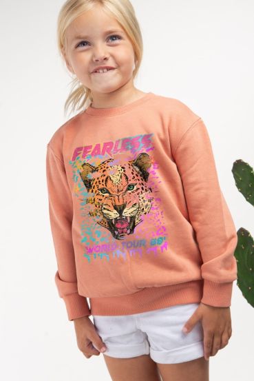 KIDS FEARLESS TIGER GRAPHIC SWEATSHIRTS